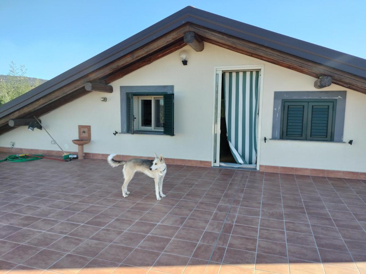 شقة La Terrazza Ragalna المظهر الخارجي الصورة